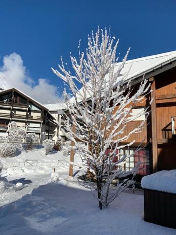 Les Combettes Apartment Les Contamines-Montjoie Exterior photo
